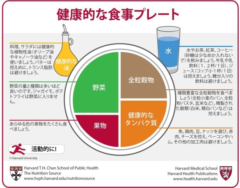 食事プレート